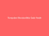 Tempobet Beraberlikte İade Nedir